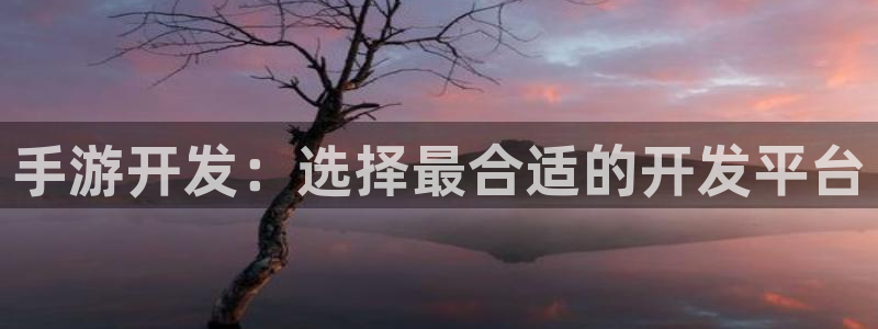 三牛娱乐测速系统：手游开发：选择最合适的开发平台