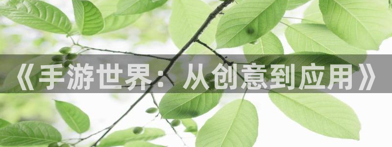 三牛娱乐哪里去了：《手游世界：从创意到应用》