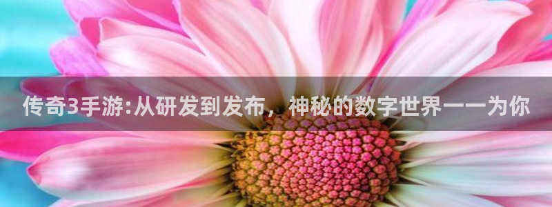 三牛娱乐测速系统app：传奇3手游:从研发到发布，神秘的数字