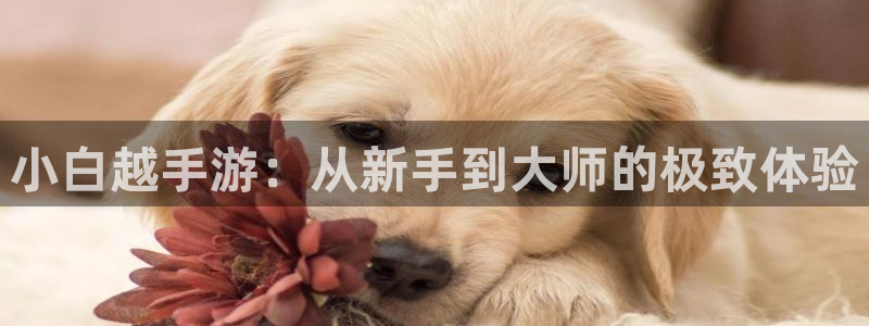 三牛娱乐官网登录入口下载苹果：小白越手游：从新手到大师的极致