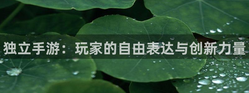 三牛娱乐注册：独立手游：玩家的自由表达与创新力量