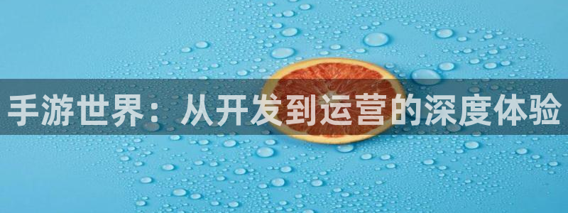 三牛公司：手游世界：从开发到运营的深度体验
