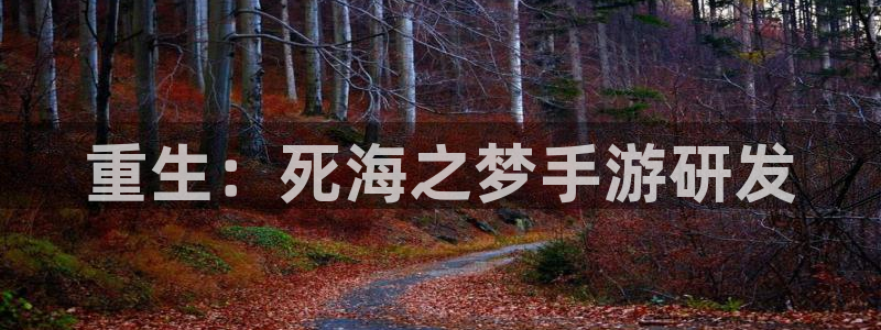 三牛娱乐挂机软件下载：重生：死海之梦手游研发