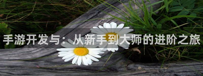 三牛娱乐负责人是谁：手游开发与：从新手到大师的进阶之旅