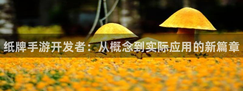 三牛娱乐管网怎么样：纸牌手游开发者：从概念到实际应用的新篇章