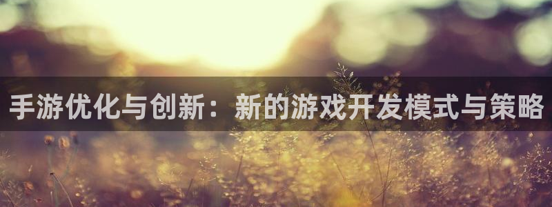 三牛娱乐哪里去了：手游优化与创新：新的游戏开发模式与策略