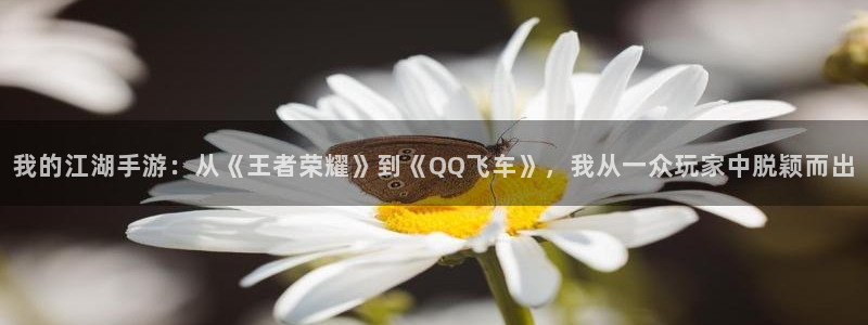 三牛娱乐挂机：我的江湖手游：从《王者荣耀》到《QQ飞车》，我