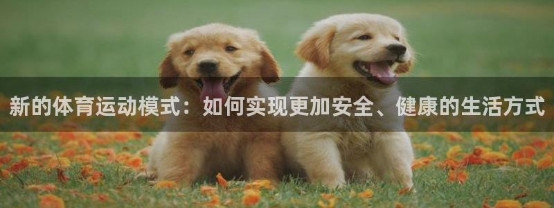 vsport体育在线官网