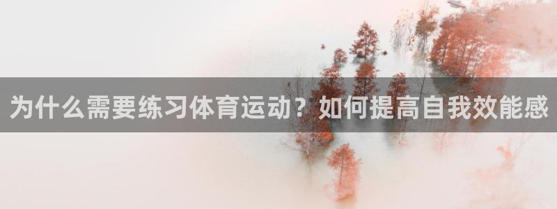 vsport体育在线官网