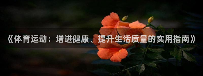 vsport体育在线官网