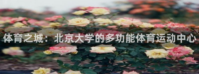 vsport体育