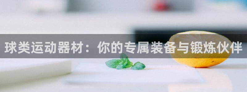 vsport体育在线官网