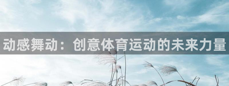 vsport体育在线官网